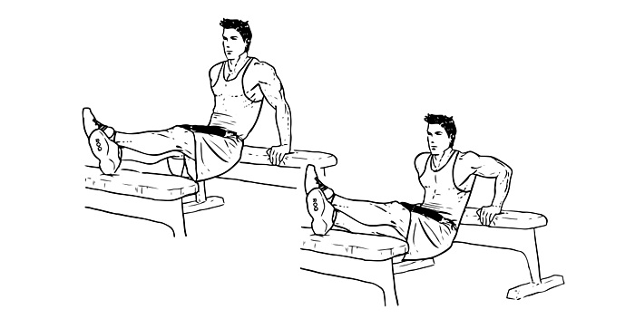 exact bench dips workout
