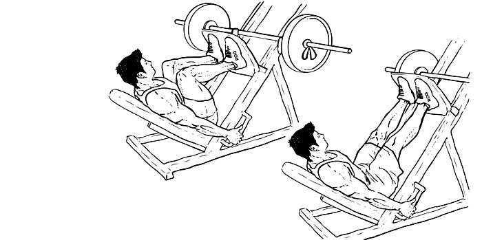 exact leg press